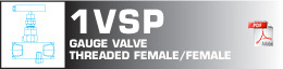 Gauge valve threaded female/female