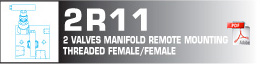 2 valves manfold remote mounting threaded female/female