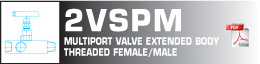Multiport valve extended body threaded female/male