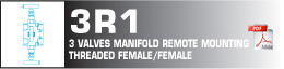 3 valves manfold remote mounting threaded female/female