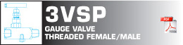 Gauge valve threaded female/male