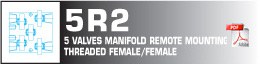 5 valves manfold remote mounting threaded female/female