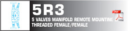 5 valves manfold remote mounting threaded female/female