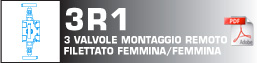 3 valvole montaggio remoto filettato femmina/femmina