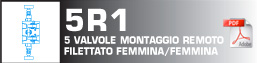 5 valvole montaggio remoto filettato femmina/femmina