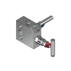 2-Valves Manifold Direct Mounting X Female Thread 2D10