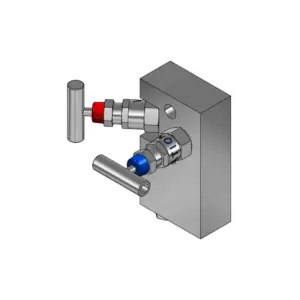 2-Valves Manifold Direct Mounting X Female Thread 2D11