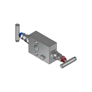 2-Valves Manifold Direct Mounting X Female Thread 2D12
