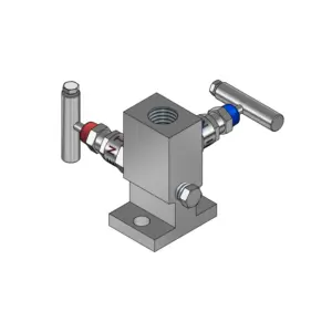 2-Valves Manifold Direct Mounting X Female Thread 2D2