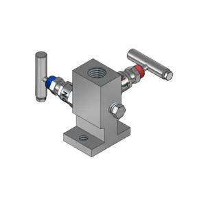 2-Valves Manifold Direct Mounting X Female Thread 2D4
