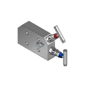 2-Valves Manifold Direct Mounting X Female Thread 2D5