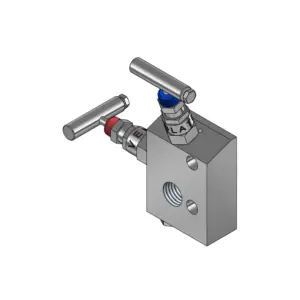 2-Valves Manifold Direct Mounting X Female Thread C/W Fixing Holes 2D1MH