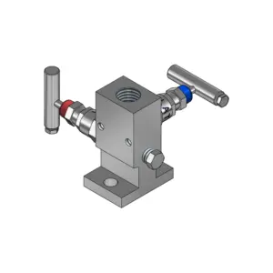 2-Valves Manifold Direct Mounting X Female Thread C/W Fixing Holes 2D4MH