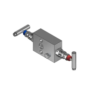 2-Valves Manifold Direct Mounting X Flanged 2D9