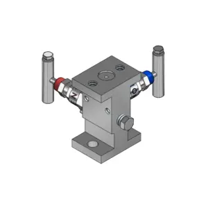 2-Valves Manifold Direct Mounting X Flanged C/W Fixing Holes 2D3MH