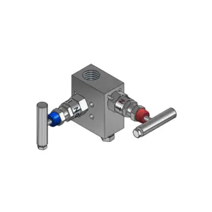 2-Valves Manifold Remote Mounting Threaded Female/Female 2R1