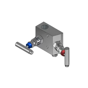 2-Valves Manifold Remote Mounting Threaded Female/Female 2R2