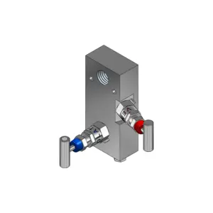 2-Valves Manifold Remote Mounting Threaded Female/Female 2R20
