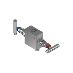 2-Valves Manifold Remote Mounting Threaded Female/Female 2R5