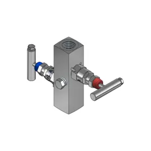 2-Valves Manifold Remote Mounting Threaded Female/Female 2R6