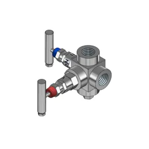2-Valves Manifold Remote Mounting Threaded Female/Female At 90° 2R10