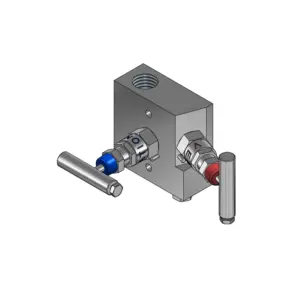 2-Valves Manifold Remote Mounting Threaded Female/Female At 90° 2R11