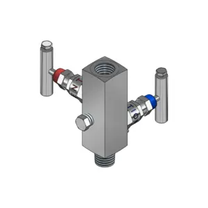 2-Valves Manifold Remote Mounting Threaded Female/Male 2R22