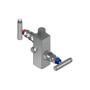 2-Valves Manifold Remote Mounting Threaded Female/Male 2R7