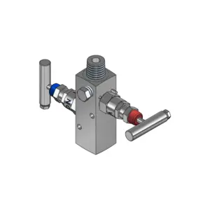 2-Valves Manifold Remote Mounting Threaded Female/Male C/W Fixing Holes 2R7MH
