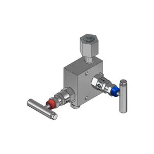 2-Valves Manifold Remote Mounting Threaded Female/Swivel 2R15