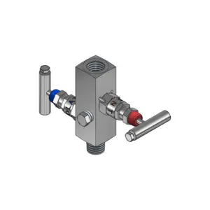 2-Valves Manifold Remote Mounting Threaded Male/Female 2R8
