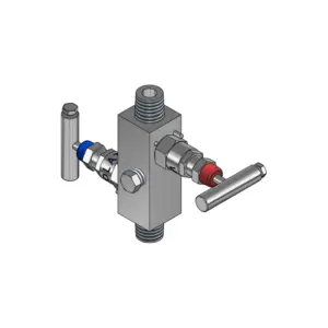 2-Valves Manifold Remote Mounting Threaded Male/Male 2R9