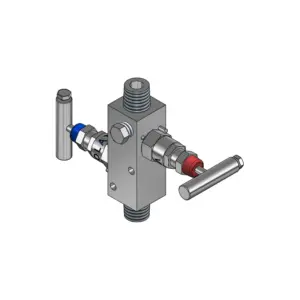 2-Valves Manifold Remote Mounting Threaded Male/Male C/W Fixing Holes 2R9MH