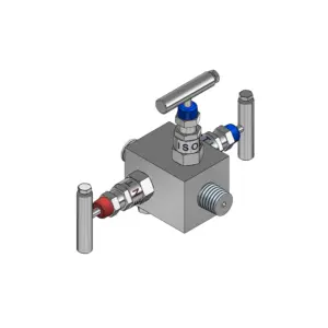 3-Valves Double Block & Bleed Threaded Male/Male 3DBBMM