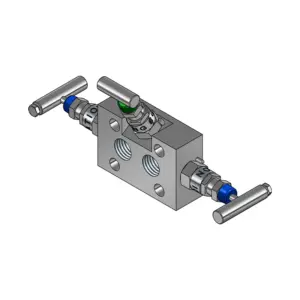 3-Valves Manifold Direct Mounting X Female Thread 3D2