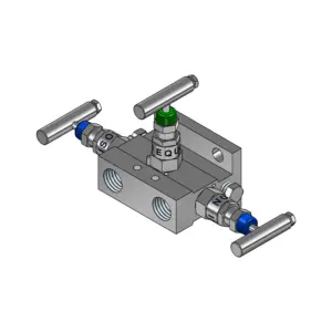 3-Valves Manifold Direct Mounting X Female Thread C/W Fixing Holes 3D3