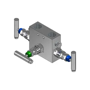 3-Valves Manifold Remote Mounting Threaded Female/Female 3R1