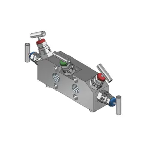 5-Valves Manifold Direct Mounting X Female Thread 5D11