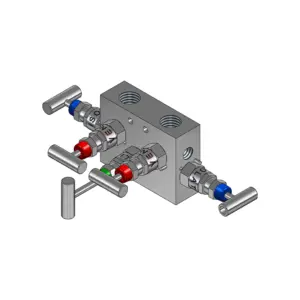 5-Valves Manifold Remote Mounting Threaded Female/Female 5R1